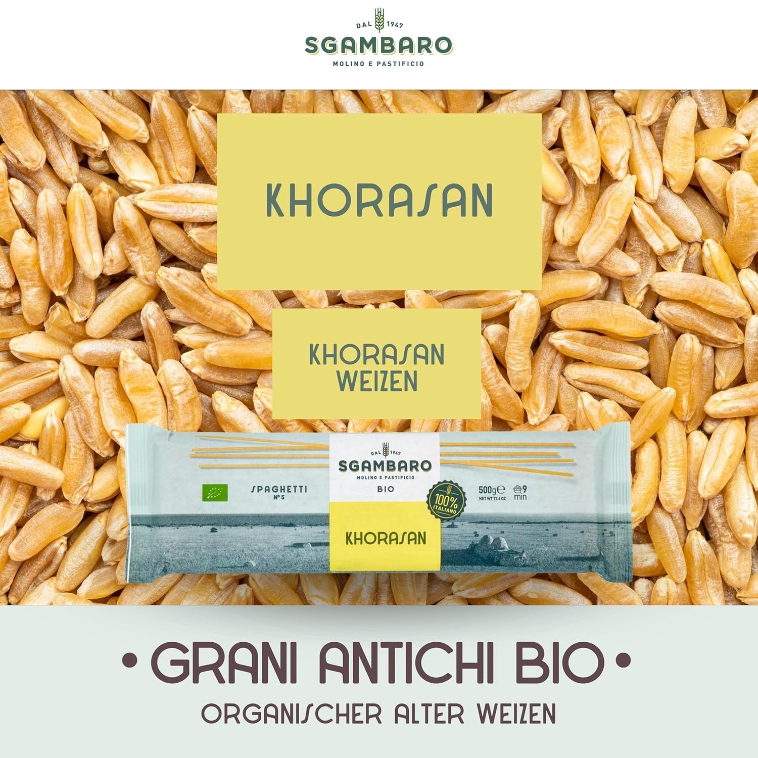 Pâtes spaghetti bio no. 5 - 500g de blé Khorasan – Blé ancien, riche en protéines, cultivé 100% italien – Polyvalent en cuisine et riche en nutriments