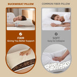 Oreiller de couchage en sarrasin biologique LOFE 14" X 20" Soutien cervical réglable et respirant pour dormir frais pour les dormeurs sur le dos et sur le côté (coques de sarrasin tartare) Naty Shop Oreillers standard