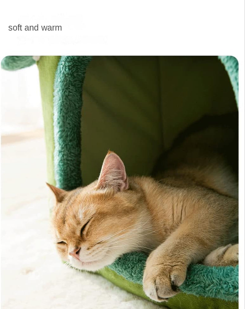 Couvertures et meubles, Animaux, Grottes et maisons, Chats, Lits pour chats, Chats - lits, matelas