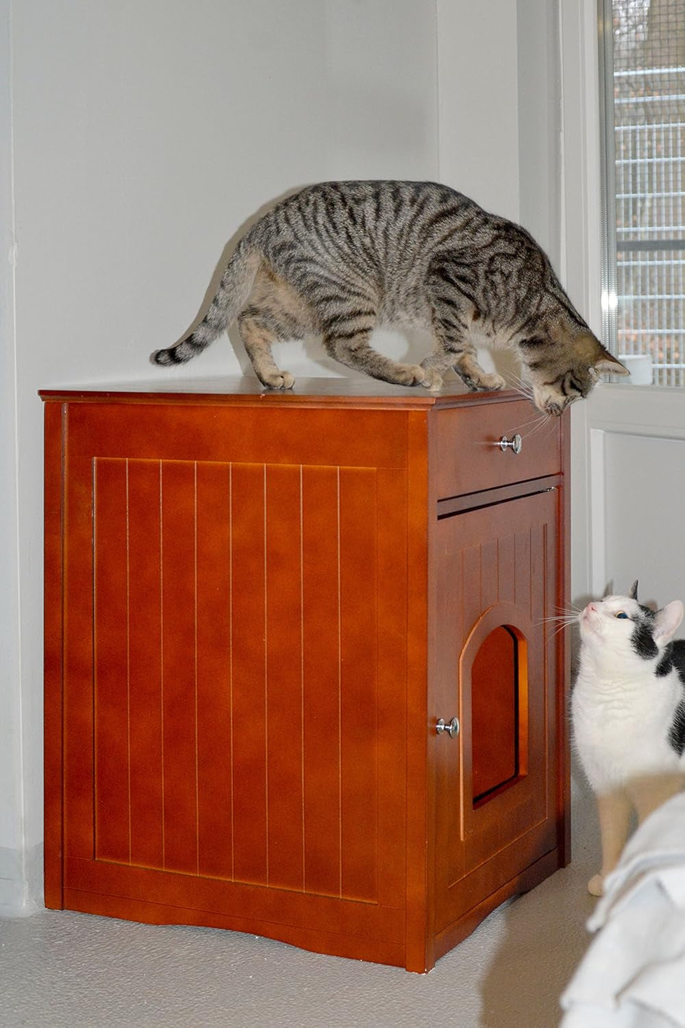 Couvertures et meubles, Animaux, Grottes et maisons, Chats, Lits pour chats, Chats - Lits, Matelas