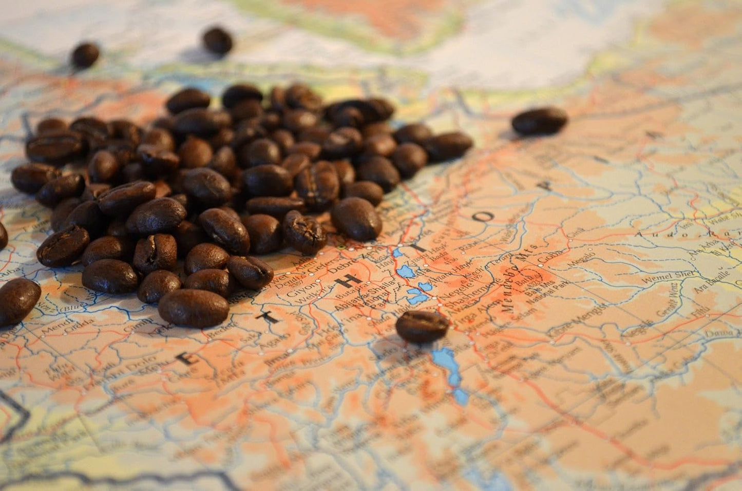 C&T Coffee Rarity - Café sauvage d'Éthiopie, d'Afrique | 1000 g de café (grains entiers) – Fort et fruité | + Cultivé à l'état sauvage + Cueilli à la main + Séché au soleil + Légèrement rôti