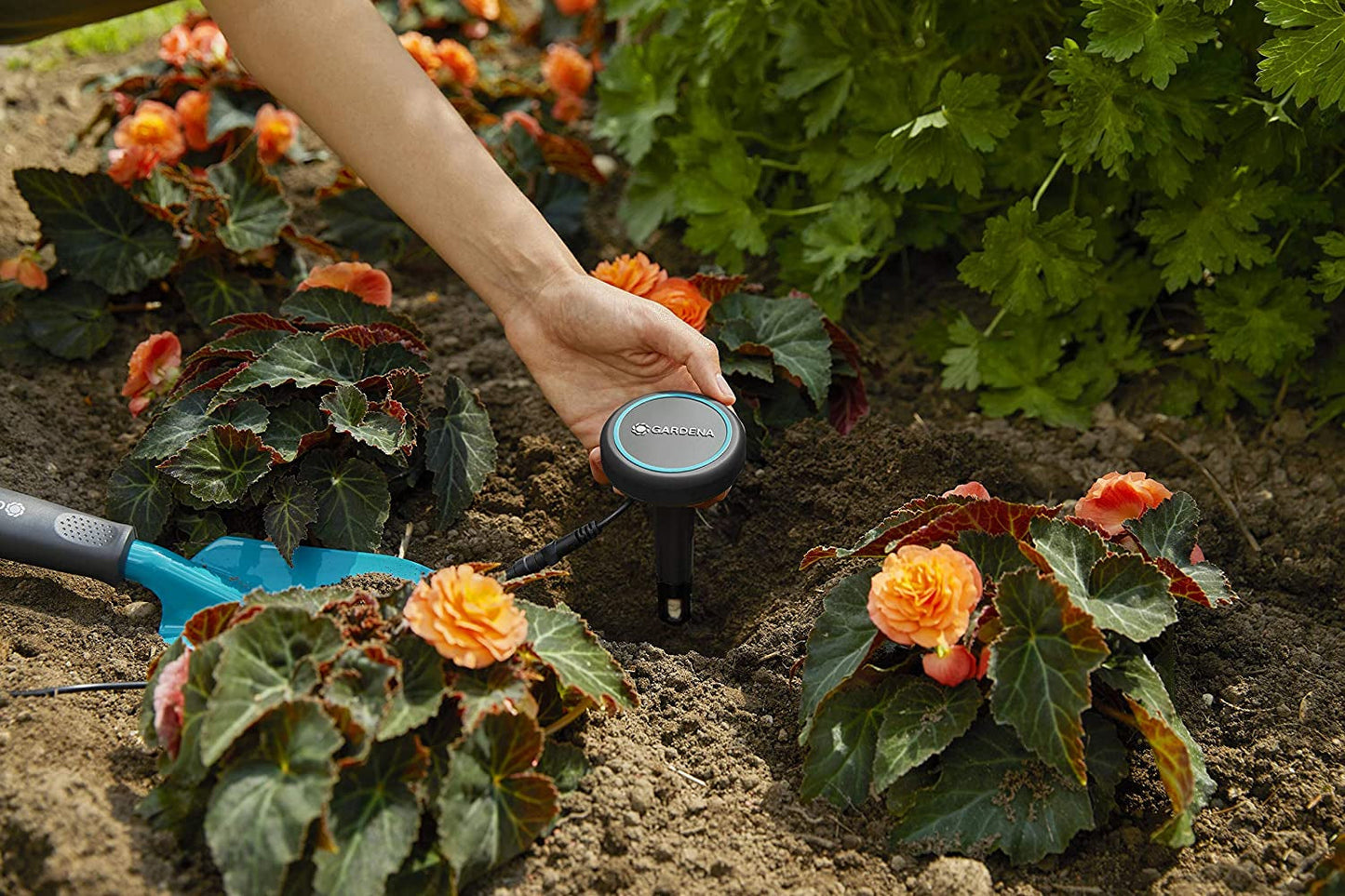 Rallonge Gardena (10 m) pour capteur de pluie et capteur d'humidité du sol, câble de connexion avec système Easy Click, extensible jusqu'à 105 m, pour utilisation hors sol et sous sol (01868-20)