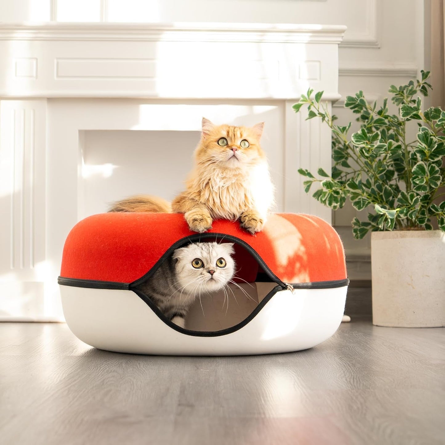 Couvertures et meubles, Animaux, Grottes et maisons, Chats, Lits pour chats, Chats - lits, matelas