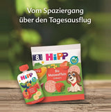 HiPP Mini Biscuits Avoine Cœur Vanille (12 x 40 g), dès 1 an, barre snack bio en forme de cœur, riche en céréales et en fibres, sucrée uniquement avec des fruits, de la meilleure qualité biologique
