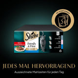 Sheba CATCARE Sachet Wet Fresh & FINE (Poisson) Morceaux en sauce Adulte 50g Multipack Standard