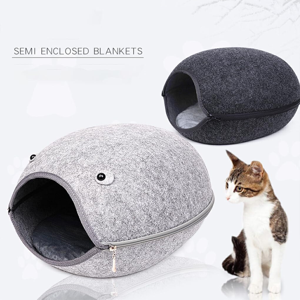 Animaux de compagnie, chiens, apprentissage de la propreté, couches et protecteurs de sol