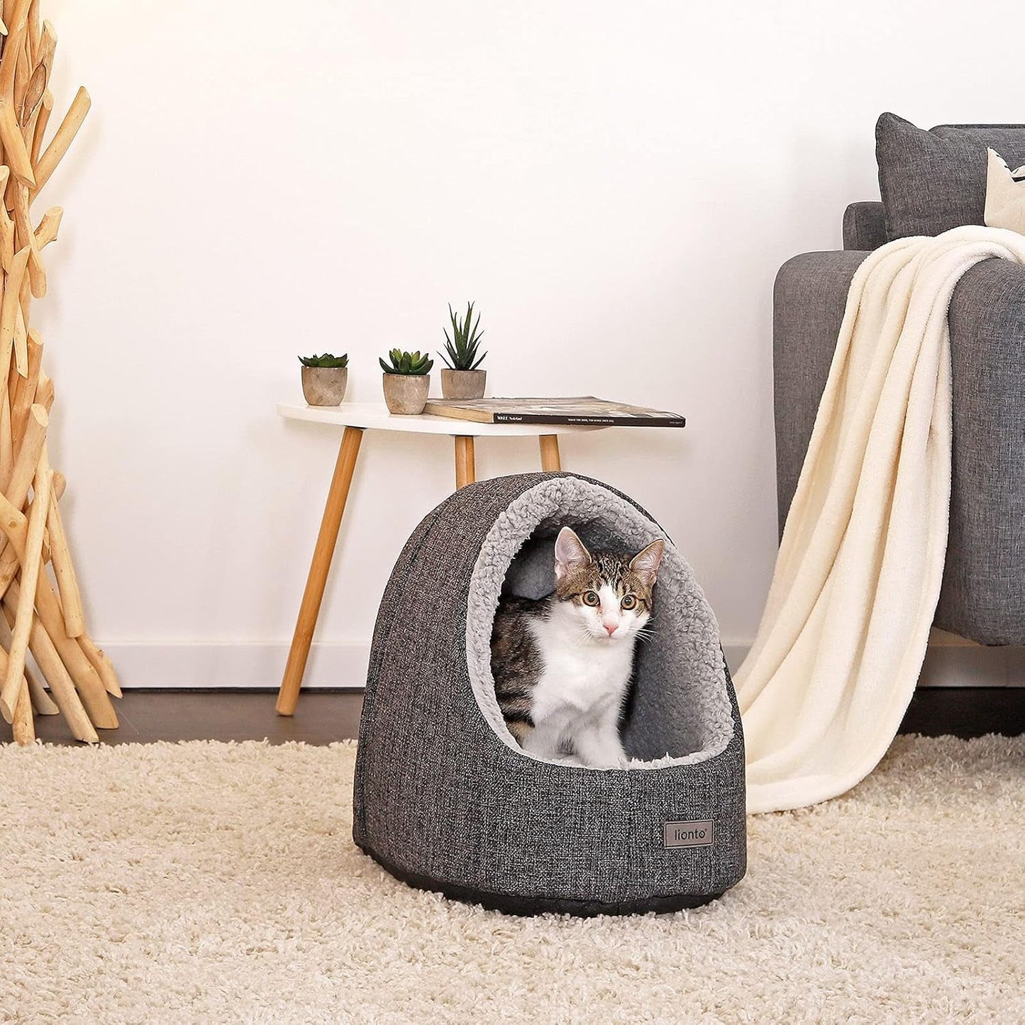 Couvertures et meubles, Animaux, Grottes et maisons, Chats, Lits pour chats, Chats - lits, matelas