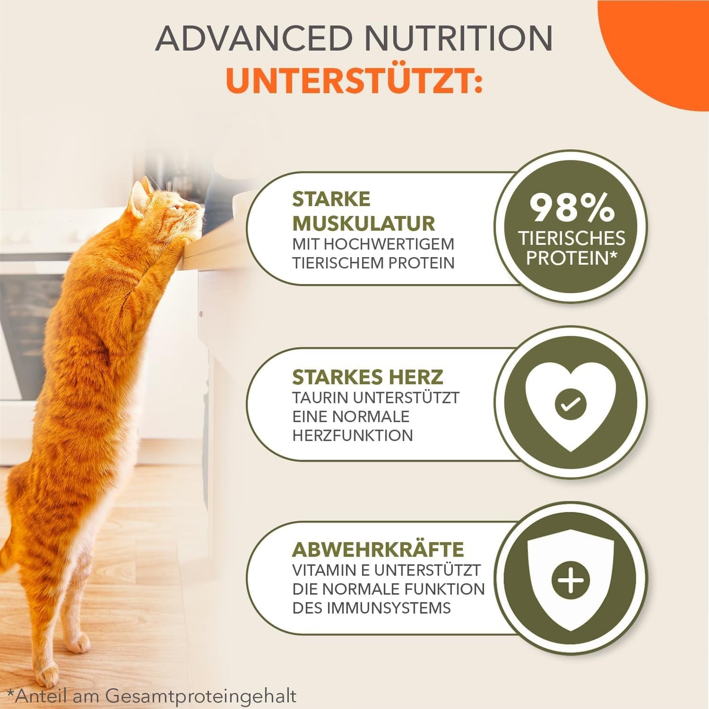 IAMS Delights Land Collection Nourriture humide pour chats sans céréales – Pack varié de viande Multi Pack Nourriture humide sans céréales pour chats de 1 an et plus 12 x 85 g