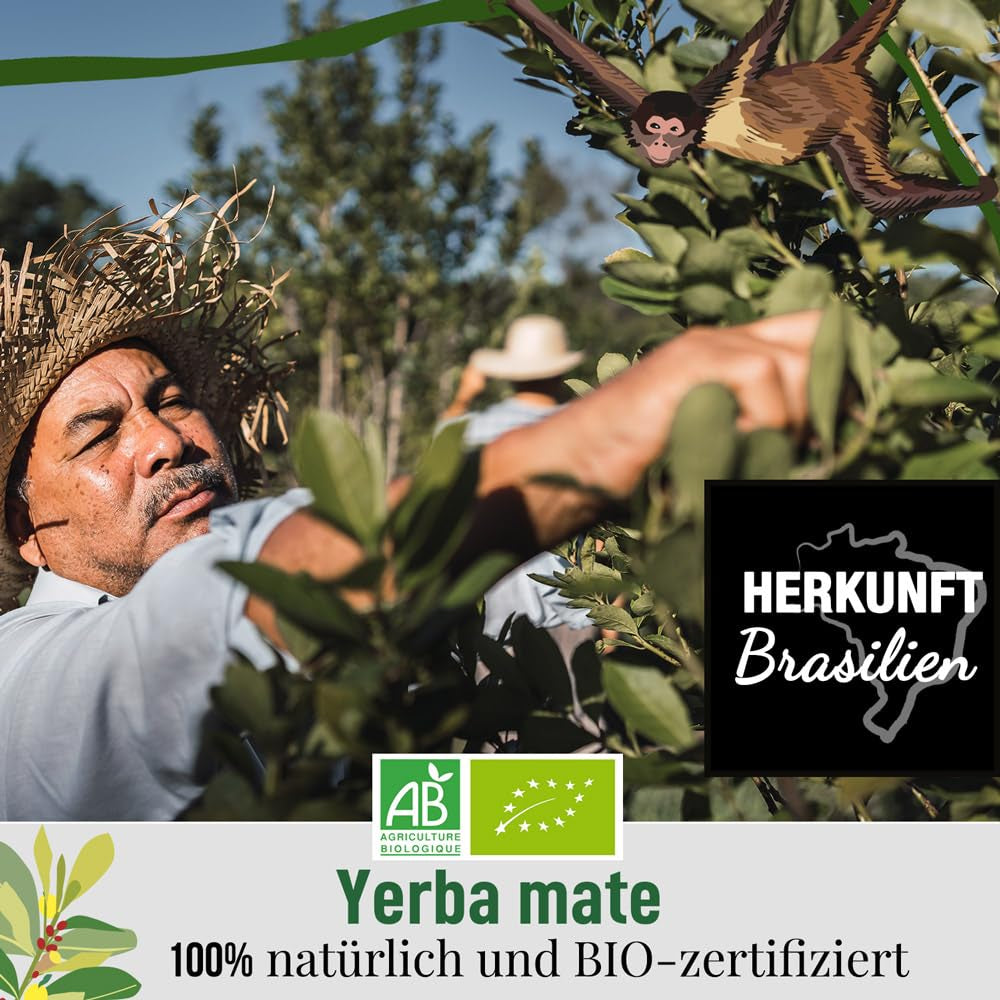ORIGEENS BIO YERBA MATE AU CITRON ET GINGEMBRE 200 G - Le thé énergisant I Thé Yerba Mate Bio, non torréfié, feuilles, sans tiges ni poussières
