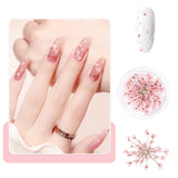 Nail Art Flowers Set Décoration - Gelnägel Zubehör 3 Farben (Orange, Blassrosa, Rose), Nail Art Aufkleber Trockene Blumen Kit Getrocknete Blumen Zubehör Set DIY Nageldekoration
