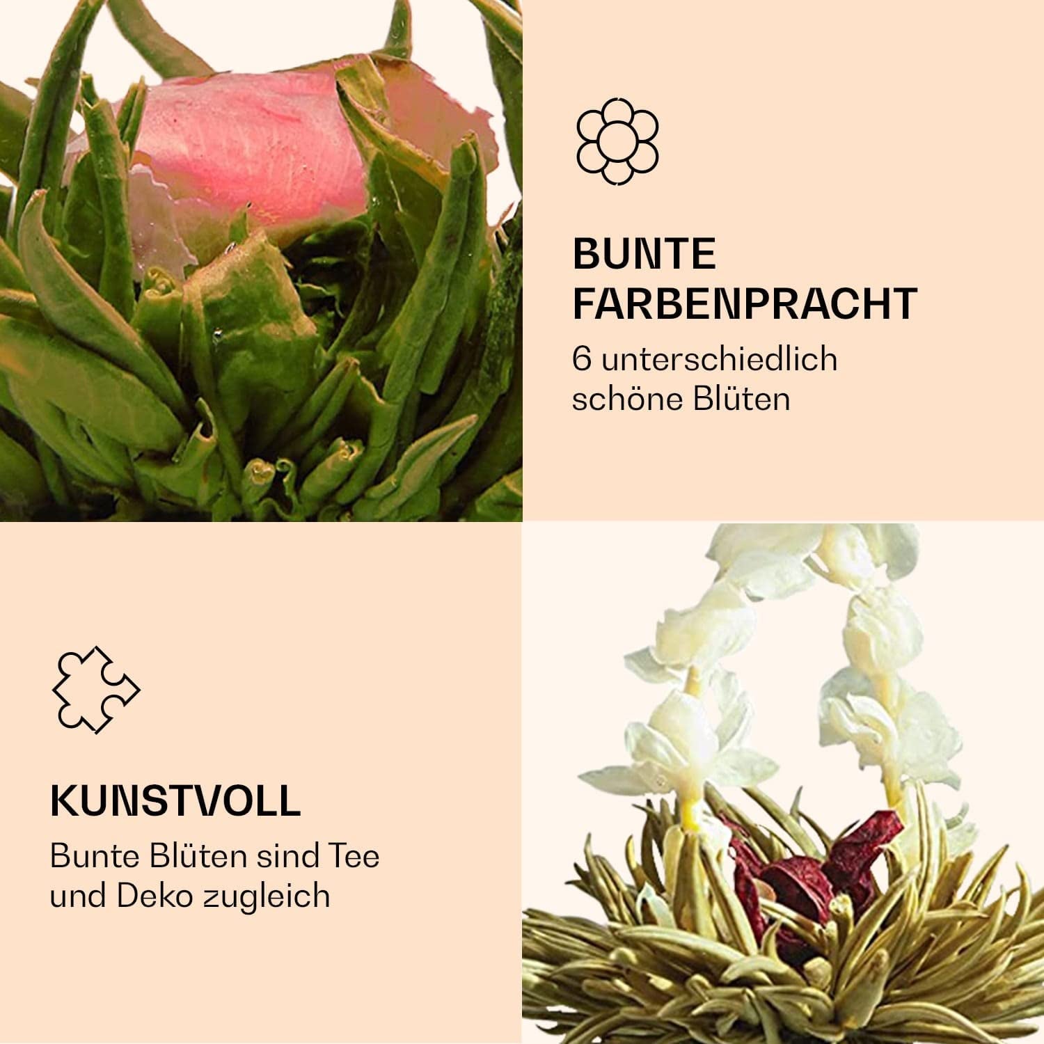 Boîte mixte élégante de 6 pièces Feelino - Fleurs de thé blanc Feelino dans une magnifique boîte de dégustation et cadeau avec 6 roses de thé blanc différentes, emballées individuellement sous vide, paquet de 1 pièce