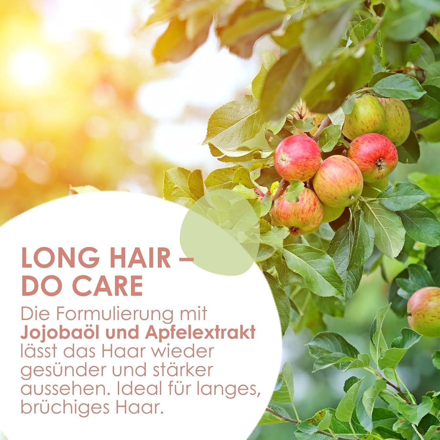 Jean & Len Care Shampoing Jojoba & Pomme, nourrit les cheveux longs et fragiles, 300 ml Douche et bain Jean & Len