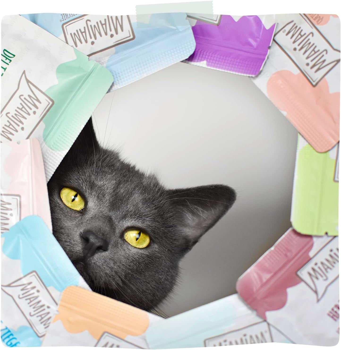 MjAMjAM - Nourriture humide premium pour chat - Sachet compressible - DUO au veau raffiné et hareng, pack de 12 (12 x 125g), sans céréales