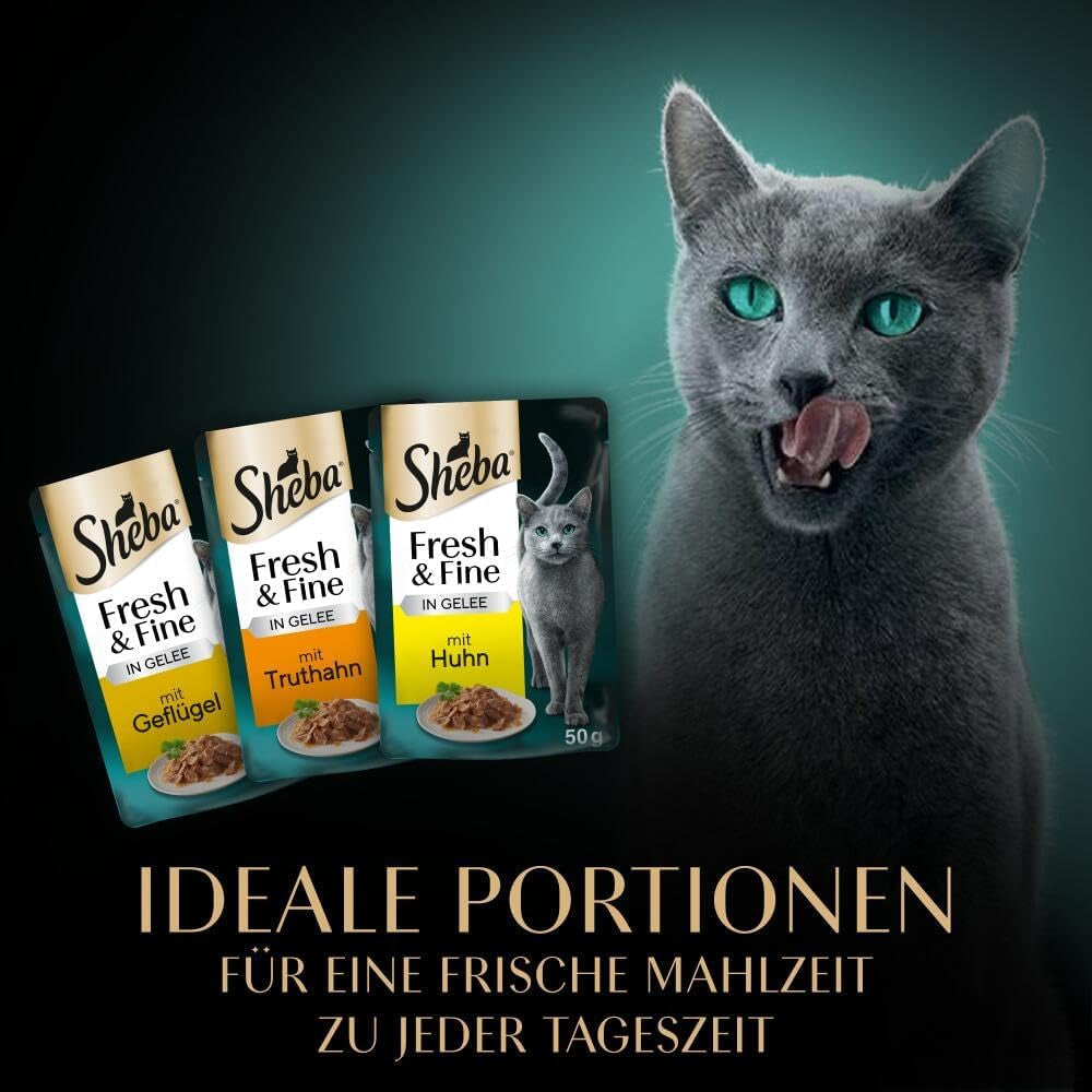 Sheba Portion Pouches Nourriture humide pour chat, paquet multiple de gelée fraîche et fine de dinde et de poulet, 6x6x50g - Nourriture pour chat de haute qualité en gelée de dinde et de poulet