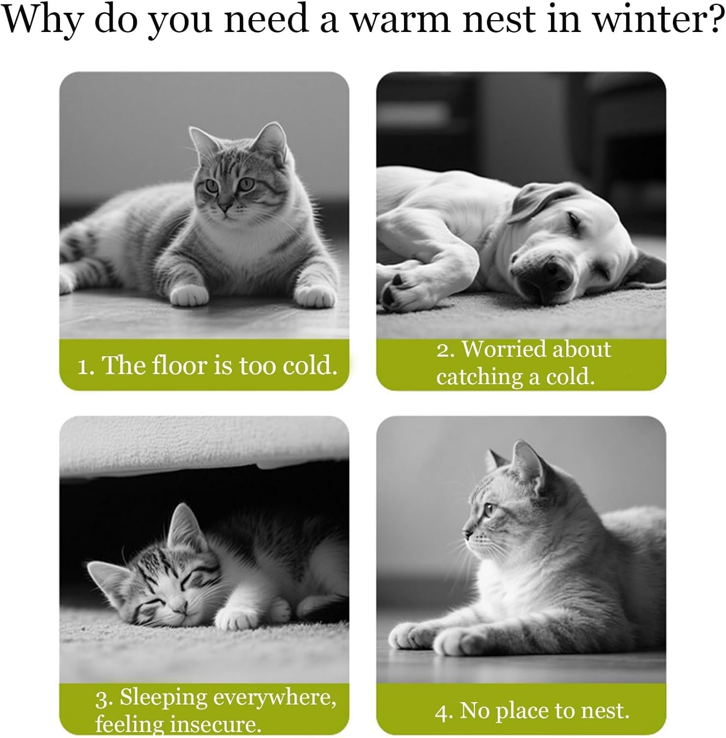 Couvertures et meubles, Animaux, Grottes et maisons, Chats, Lits pour chats, Chats - lits, matelas
