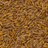 Grains d'épeautre biologiques Wholefood Earth – 3 kg | Sans OGM | Végétalien | Riche en fibres | Certifié biologique