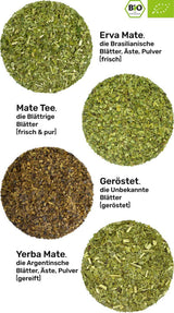 Coffret de dégustation de thé Mate ● 4 variétés de thé Mate biologique ● 100 g chacune Erva Mate + Yerba Mate + Thé vert Mate + Thé Mate torréfié