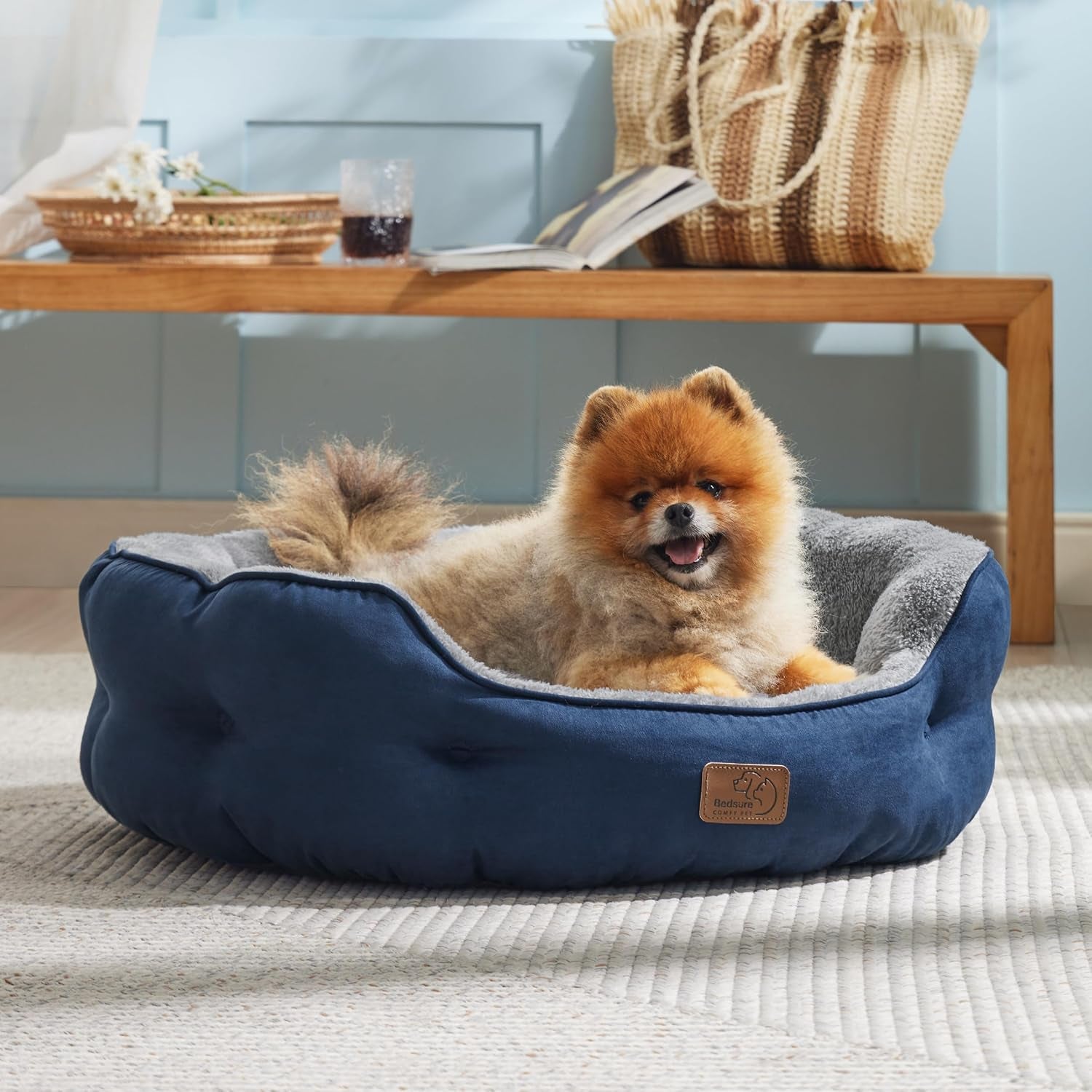Lits, couvertures et meubles, animaux, chats, lits pour chats, Chats - lits, matelas