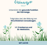 almo nature Functional Urinary Help - Nourriture humide pour chats adultes au saumon - Favorise la santé des voies urinaires - 30 sachets de 70 g chacun
