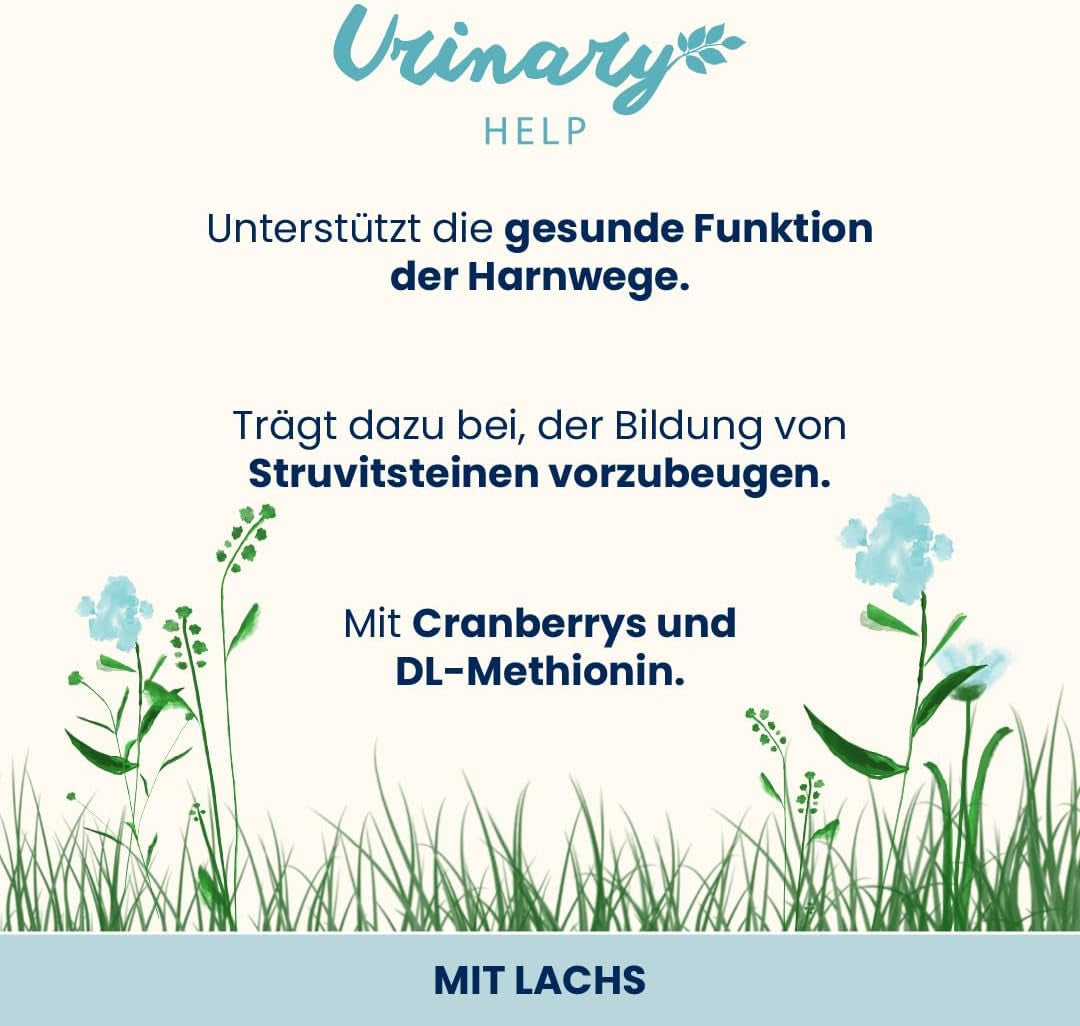 almo nature Functional Urinary Help - Nourriture humide pour chats adultes au saumon - Favorise la santé des voies urinaires - 30 sachets de 70 g chacun