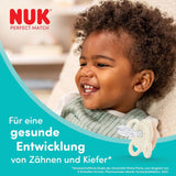Sucettes NUK Perfect Match Air pour bébés | 0-6 mois | Orthodontic pacifiers that promote air circulation and prevent drooling | 95 % d'acceptation par les bébés** | Renard/ours en peluche | Paquet de 2