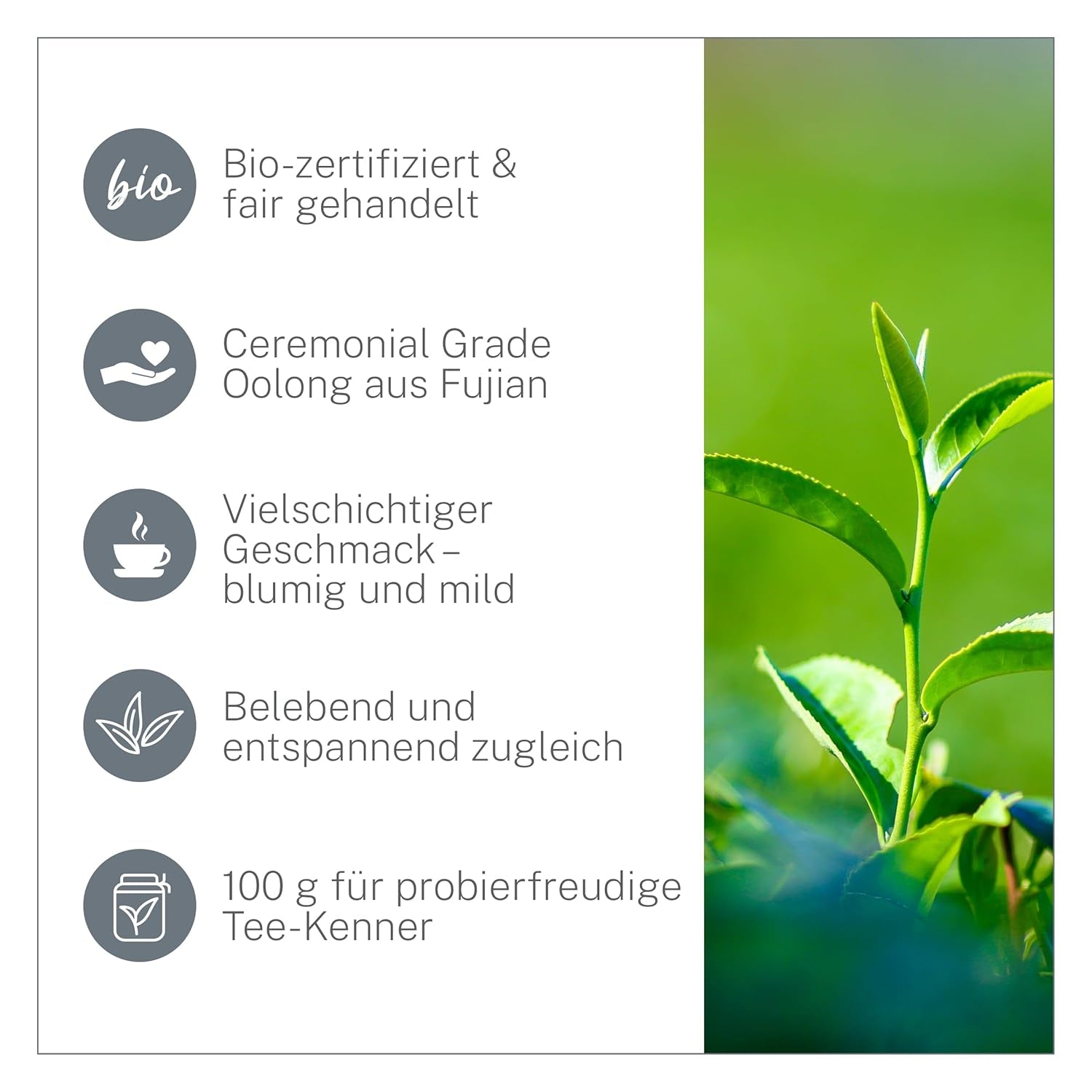 Thé Oolong Bio Ti Guan Yin 100 g - Thé Oolong biologique de haute qualité de Chine - Wu Long (qualité cérémonielle) - Pour les amateurs et connaisseurs de thé - Mycupoftea