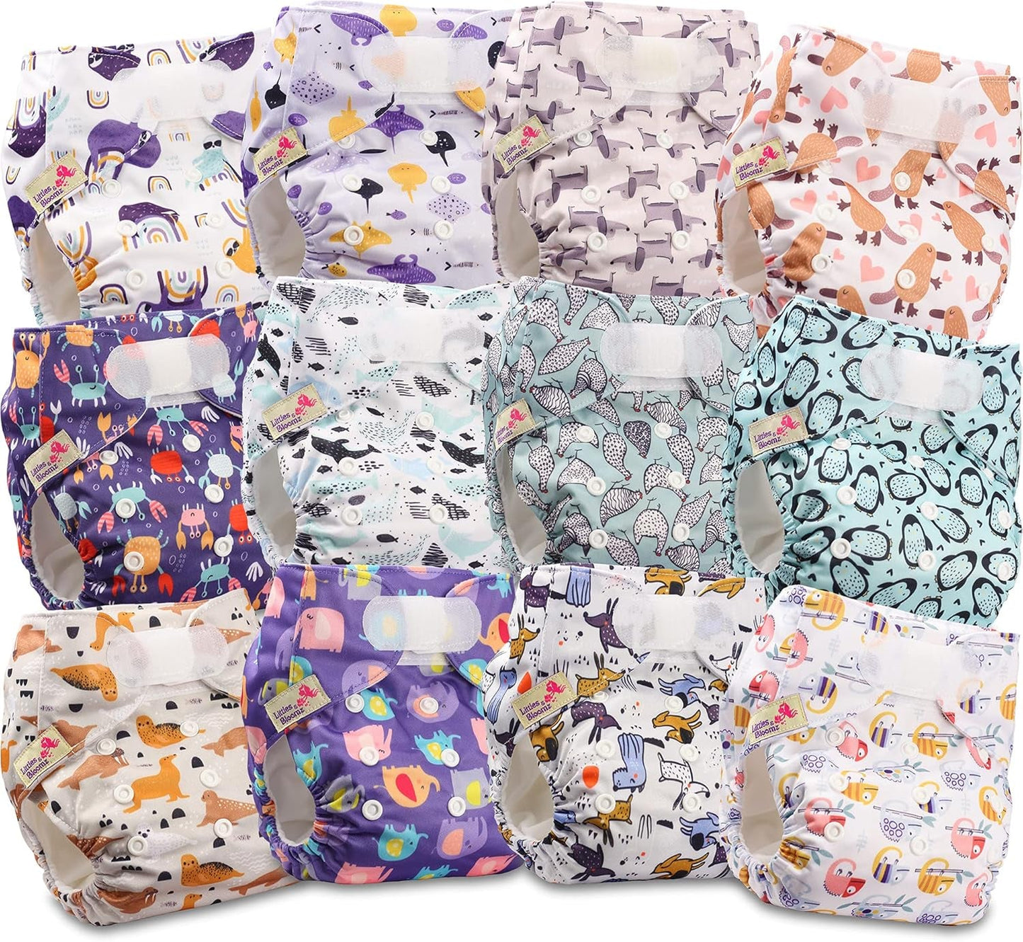 Couche réutilisable Littles and Bloomz FLV2-0602, fermeture à crochet et boucle standard, 6 couches