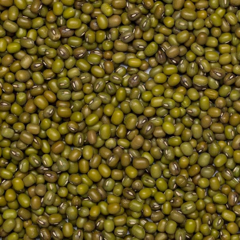 Haricots mungo biologiques Wholefood Earth 2 kg | Sans OGM | Végétalien | Riche en fibres | Riche en protéines | Certifié biologique