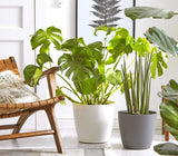 Dehner Mila pot de fleur avec système d'arrosage automatique, Ø 30 cm, hauteur 26 cm, plastique, blanc