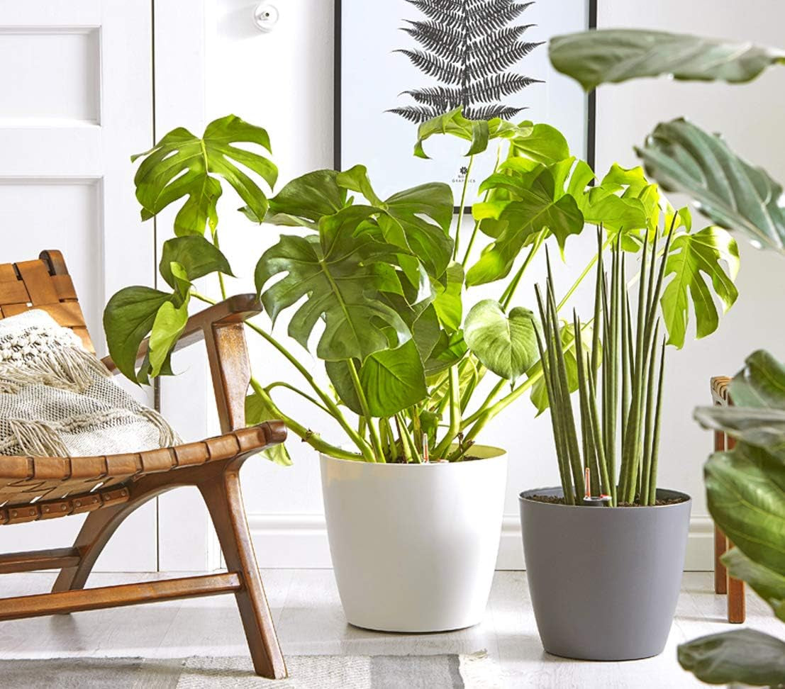 Dehner Mila pot de fleur avec système d'arrosage automatique, Ø 30 cm, hauteur 26 cm, plastique, blanc