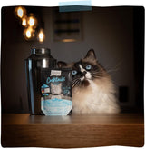 MjAMjAM - Délicieuse boisson pour chat - Cocktails - Filets de saumon effiloché, paquet de 20 (20x40), sans céréales