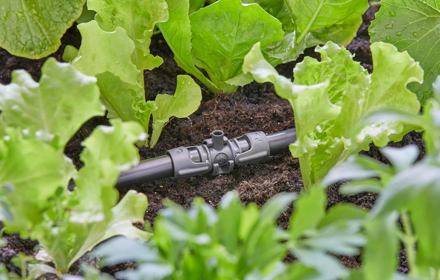 Pièce en T Gardena Micro-Drip-System pour buses de pulvérisation : Connexion entre des tuyaux de 13 mm et une buse de pulvérisation, arrosage automatique des plantes, technologie de connexion simple et rapide, réutilisable (13206-20)