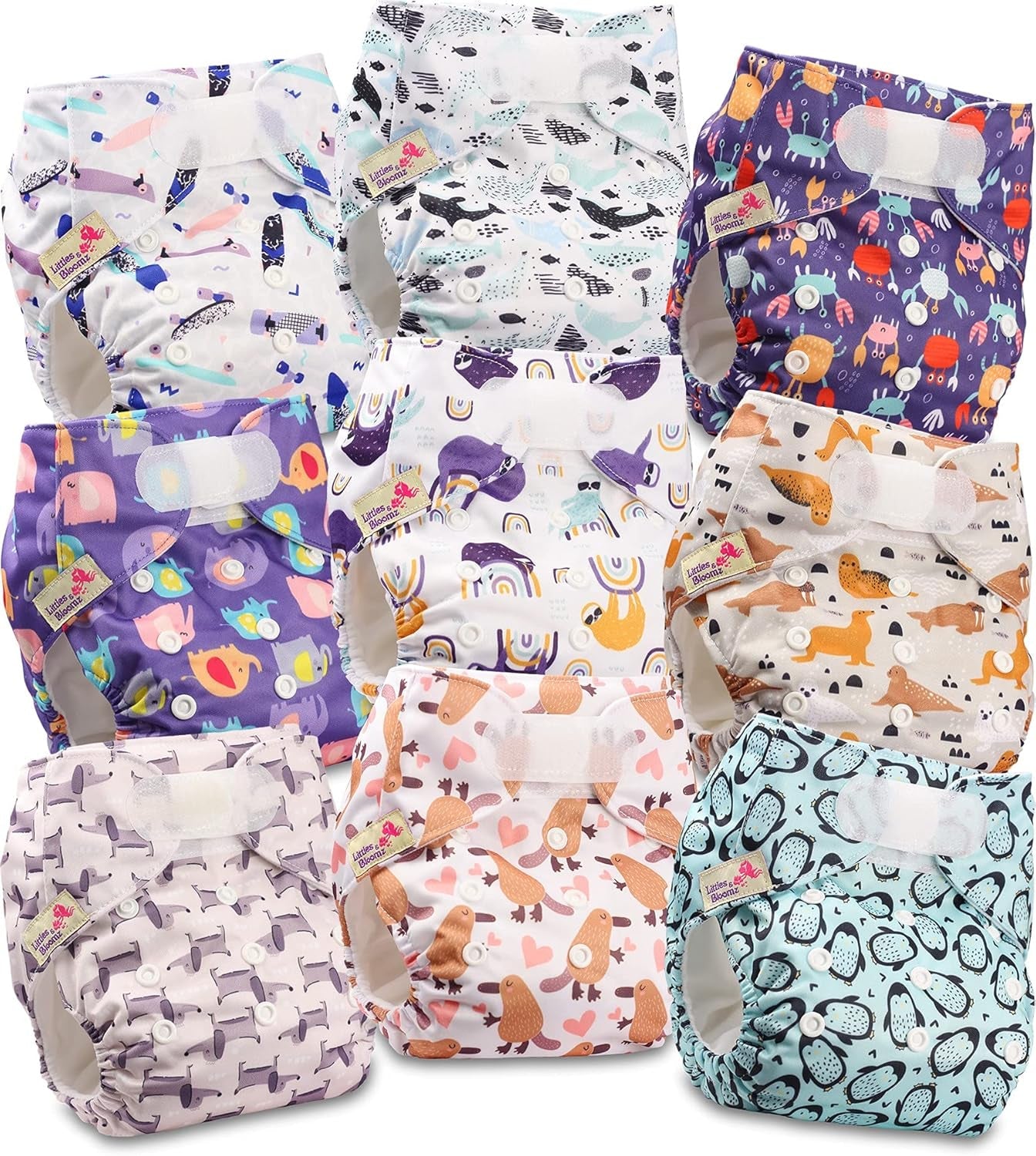 Couche réutilisable Littles and Bloomz FLV2-0602, fermeture à crochet et boucle standard, 6 couches