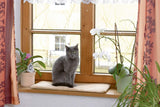 Couvertures et meubles, Animaux, Chats, Lits pour chats, Tapis à gratter, Chats - lits, matelas