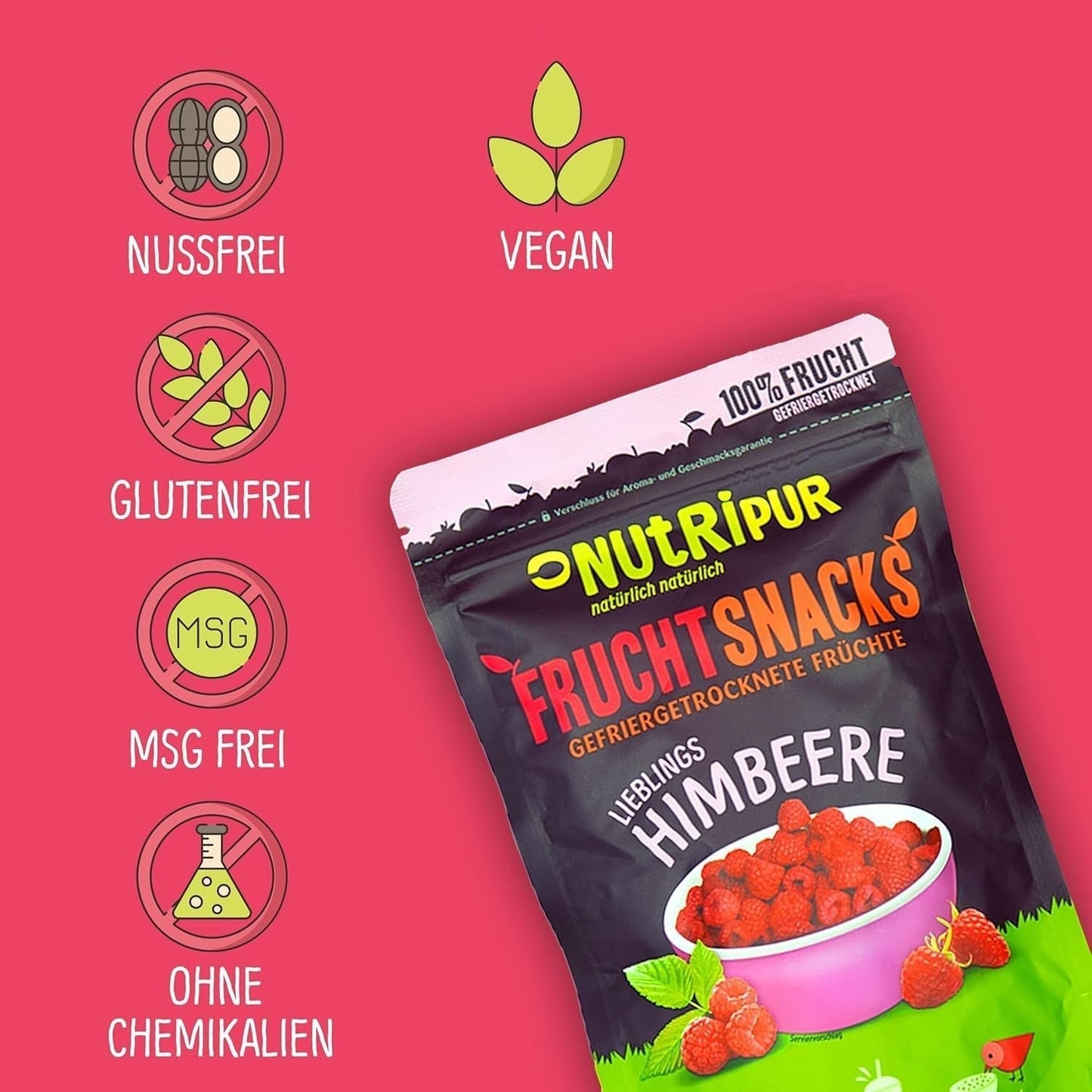 Fruits lyophilisés : 100g de framboises lyophilisées pour smoothie bowls, muesli, porridge toppings - baies lyophilisées sans sucre ajouté - baies lyophilisées - fruits de NutriPur Produits déshydratés Naty Shop