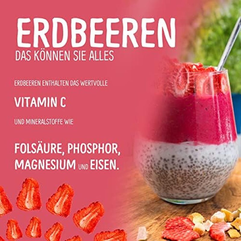 Snacks aux fruits bio pour enfants : 6x15g Fraises lyophilisées bio - Fruits lyophilisés - Fruits secs - Petits coquins de NutriPur Produits déshydratés Naty Shop