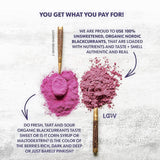 Poudre de cassis biologique LOOV, composée à 100 % de cassis entiers, de baies biologiques lyophilisées et en poudre, cultivées en Europe du Nord, sans sucre ajouté, 113 g Naty Shop Produits déshydratés