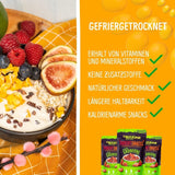 Mangue lyophilisée : 100g de fruits lyophilisés à partir de morceaux tendres de mangue sans sucre ajouté - mangue séchée - mangue séchée - fruits secs - fruits secs de NutriPur Produits déshydratés Naty Shop