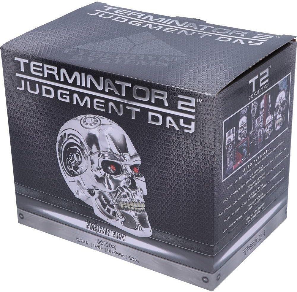 Nemesis Now, T Box, 18 cm, Argent, Résine, Taille Unique Statuettes et Sculptures Naty Shop