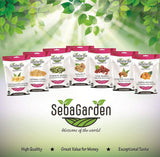 Fraises lyophilisées Seba Garden Premium, délicieuses fraises méditerranéennes, sans OGM et vegan (100 g) Produits déshydratés