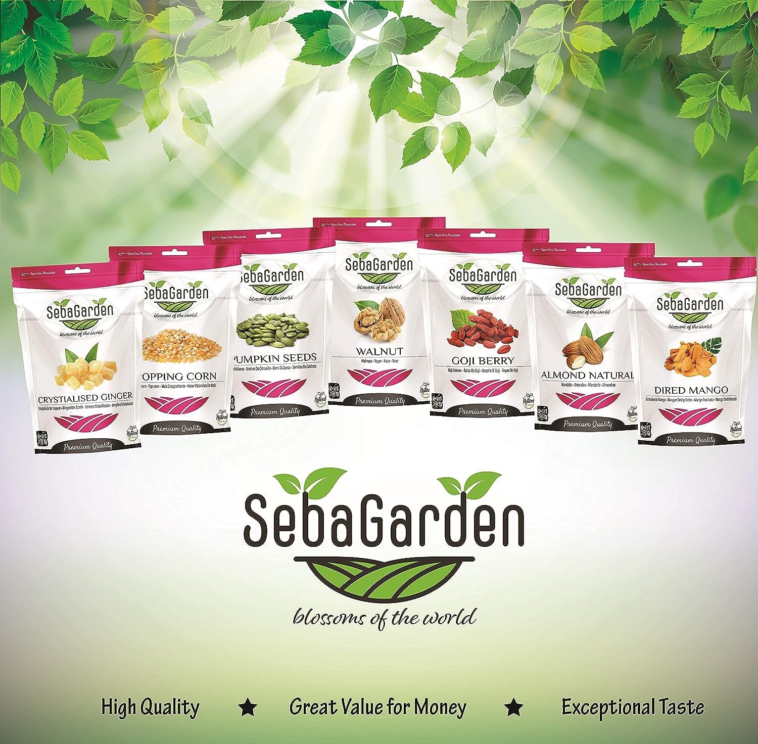 Fraises lyophilisées Seba Garden Premium, délicieuses fraises méditerranéennes, sans OGM et vegan (100 g) Produits déshydratés