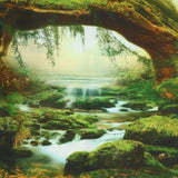 Tapisserie psychédélique forêt lumineuse tapisserie lumière du soleil paysage suspendu Maison - Accessoires et Décorations Naty Shop