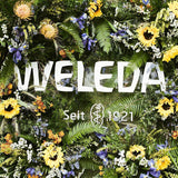 WELEDA Crème de Soin Bébé Calendula Bio Corps & Visage 75 ml - Crème visage / crème pour la peau pour cosmétiques naturels à l'huile de sésame et à la lanoline pour le soin des peaux sèches. Crème de soin hydratante pour bébés et enfants Enfants - Bain et Soin Naty Shop